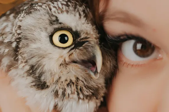 ボアボア カジノ サポート